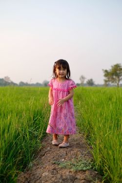 Portrait of girl standing at rice paddy against clear sky during sunset