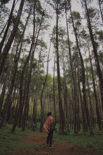 Side view of woman standing amidst trees in forest