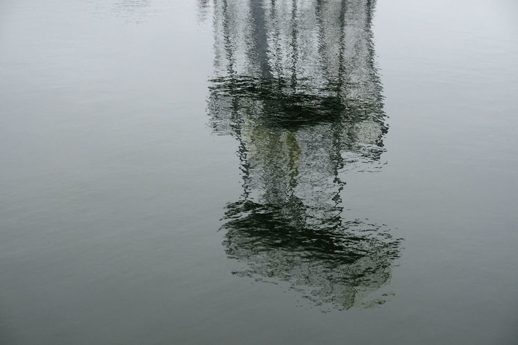 High angle view of plant in lake
