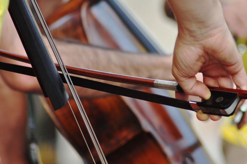 Cropped image of person playing string instrument