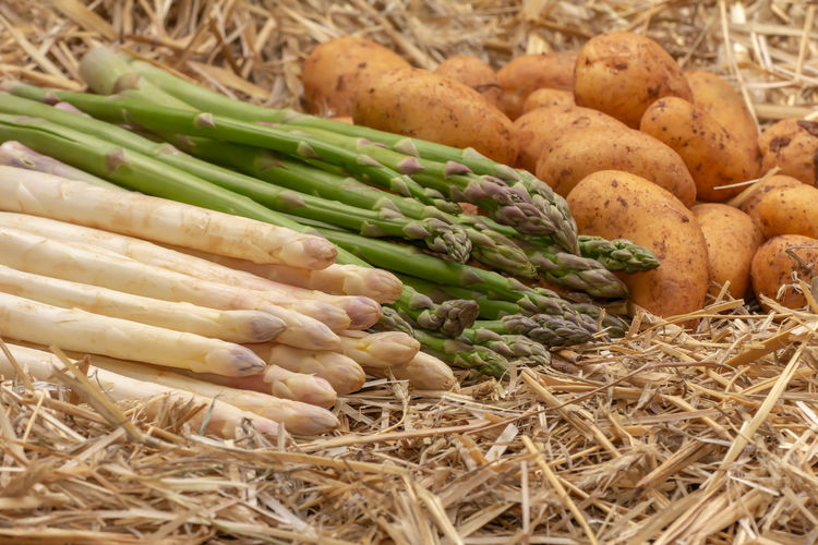 Fresh raw organic green and white asparagus and potatoes on straw background. asparagus officinalis