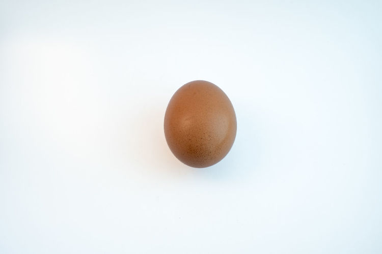 egg