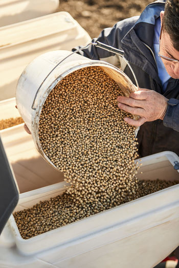 Farmer pouring soybean seeds in seeder machine