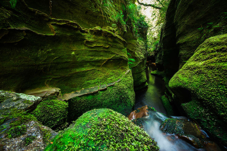 Stream flowing through moss covered rocks