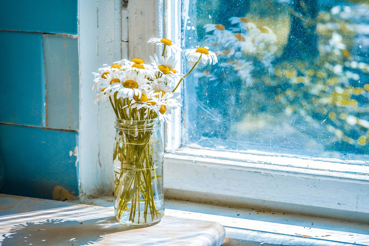 Close-up of flower vase on table against window