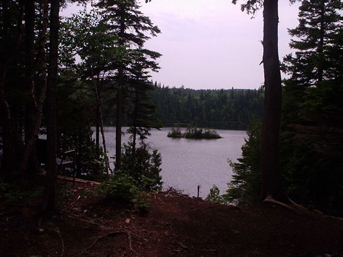 Scenic view of lake in forest against sky