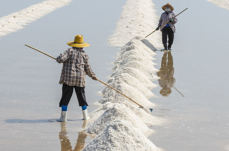 Farmers are using the tools to scoop the salt into a pile in salt garden at phetchaburi, thailand.