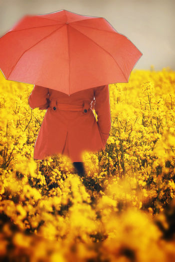 Rear view of person standing on yellow umbrella