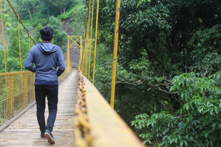 Rear view of man walking on footbridge in forest