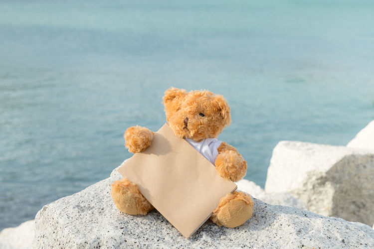 Close-up of stuffed toy on rock at beach