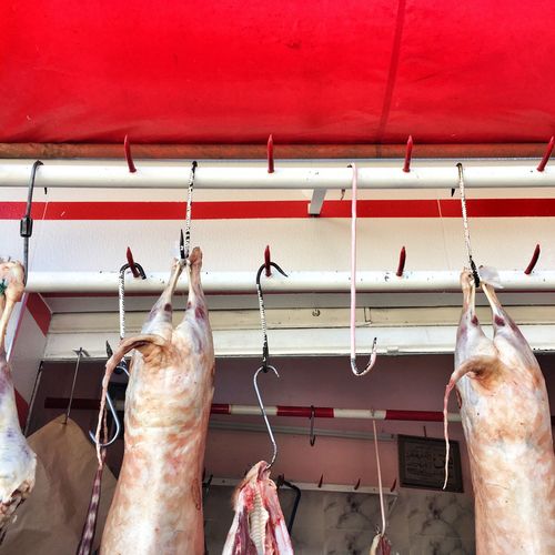 Low angle view of meat hanging at butcher shop