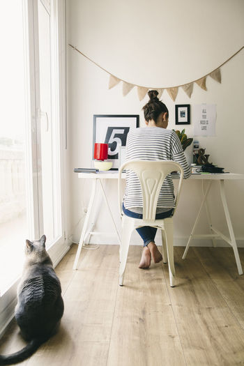 Woman working in home office with cat looking out of window