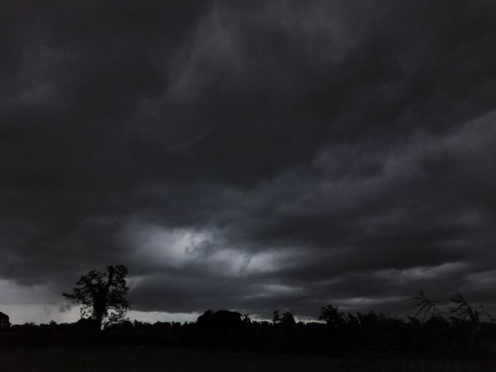 Silhouette of trees on field against storm clouds