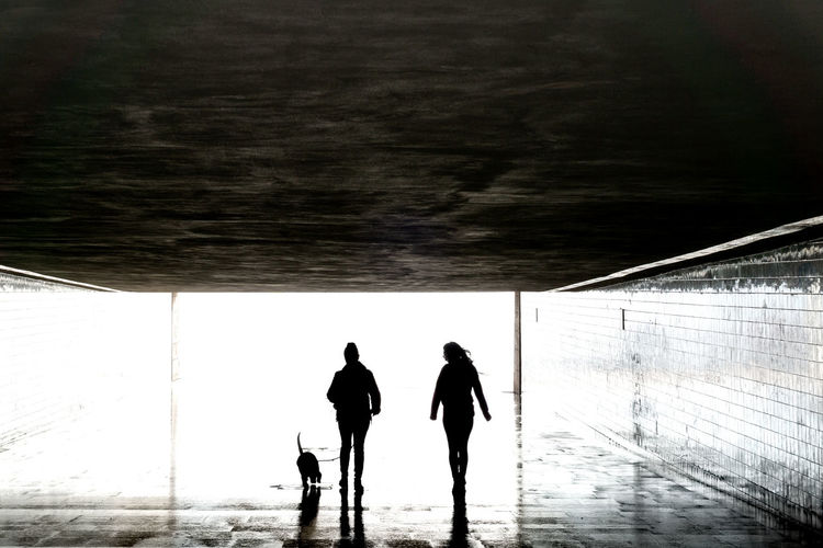 Rear view of silhouette people walking on sidewalk