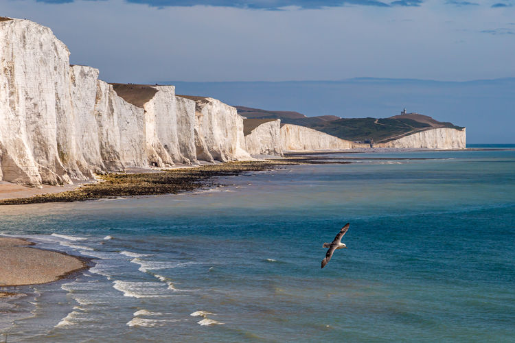 A view of the seven sisters cliffs on the sussex coast, on a sunny day