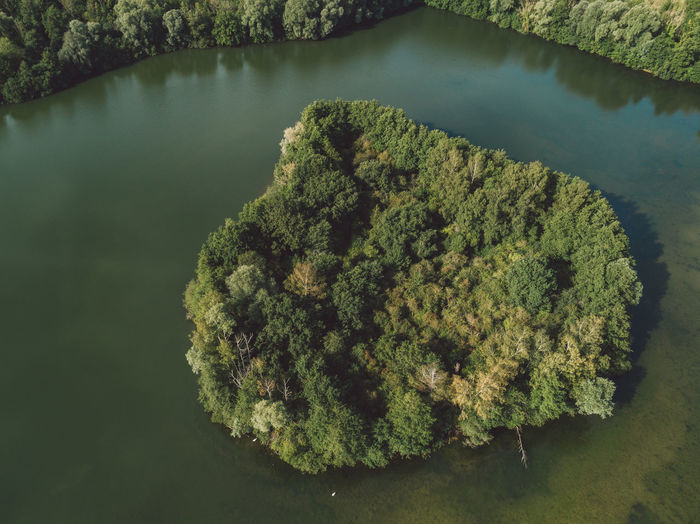 Directly above aerial shot of trees surrounded by lake