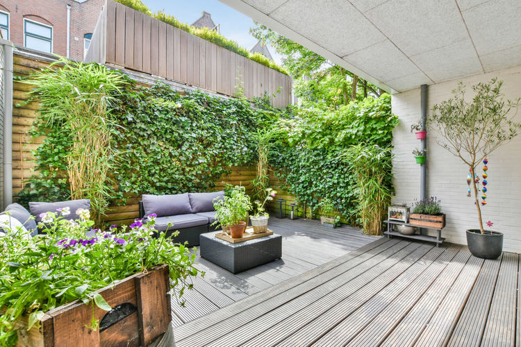 Potted plants on wall