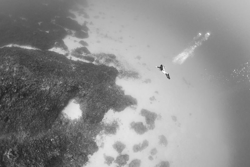 High angle view of woman scuba diving in sea