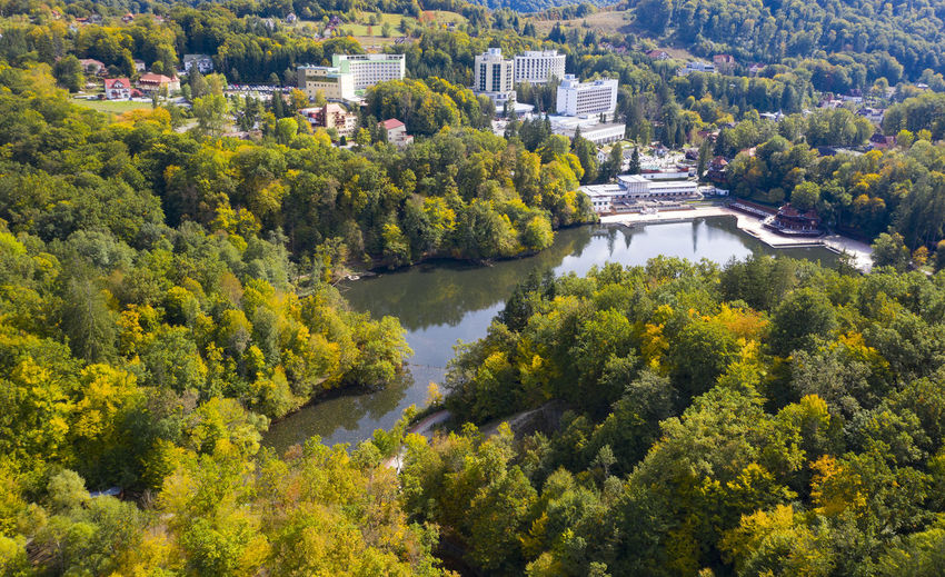 High angle view of trees and buildings in forest