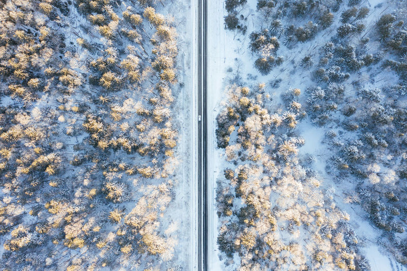 Directly above shot of road amidst trees in forest during winter