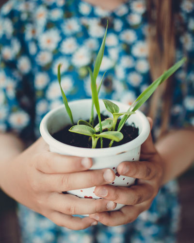 Close-up of girl holding cup of growing seeds