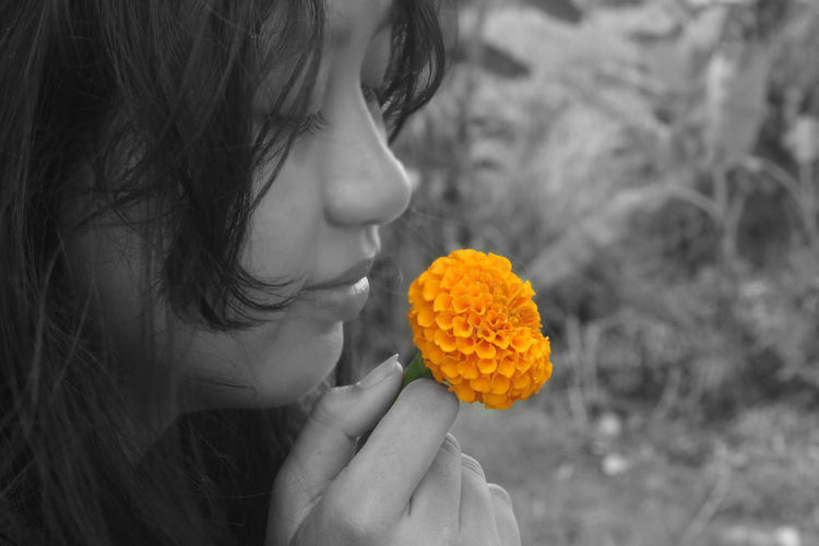 Close-up of woman holding yellow flower