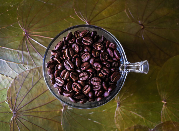 Close-up high angle view of coffee beans