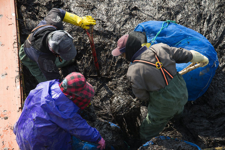 High angle view of workers working in mud