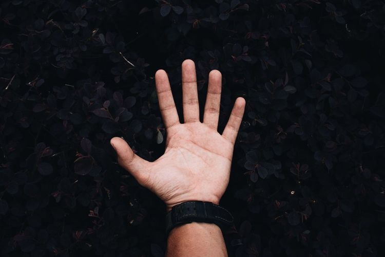 Close-up of cropped hand
