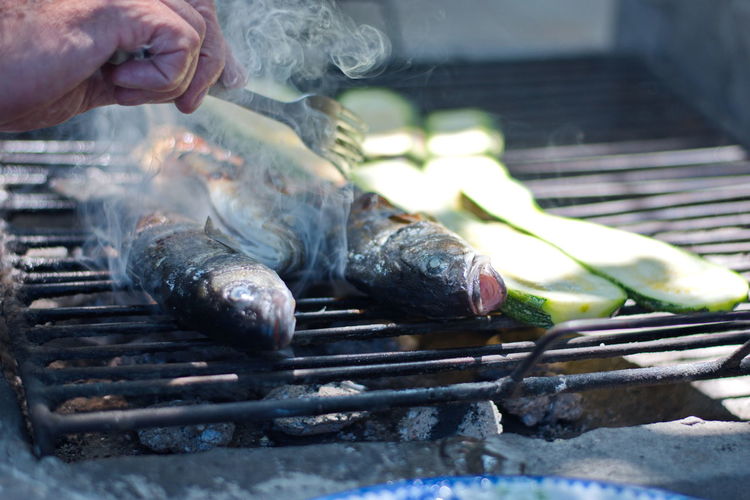 Closeup of grilled fish and vegetables