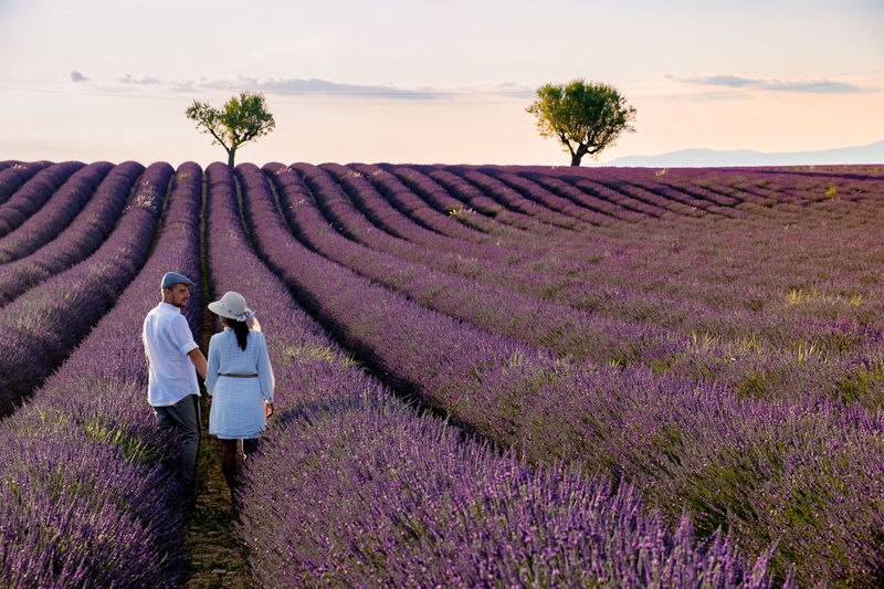 Rear view of couple standing on flowering field against sky