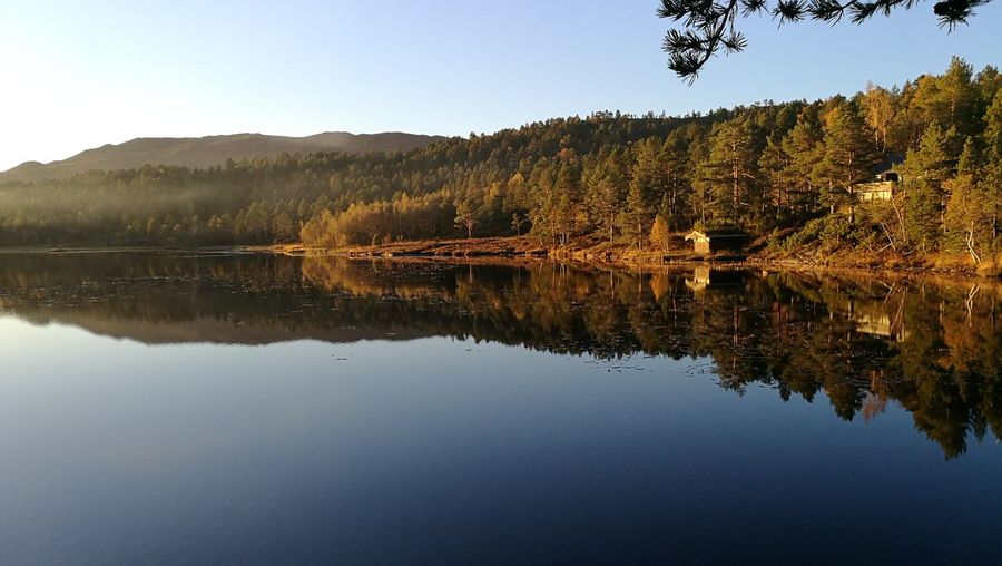 Reflection of trees in calm lake against clear sky