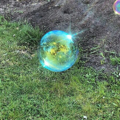 Close up of bubbles in grass