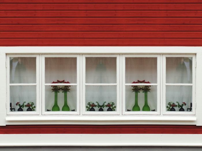 Potted plant on window of building