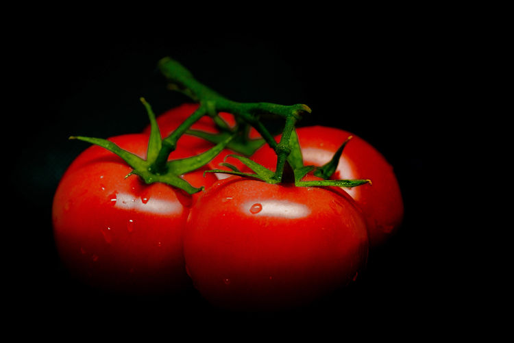 Close-up of wet tomatoes against black background