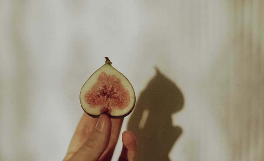 Close-up of hand holding fig