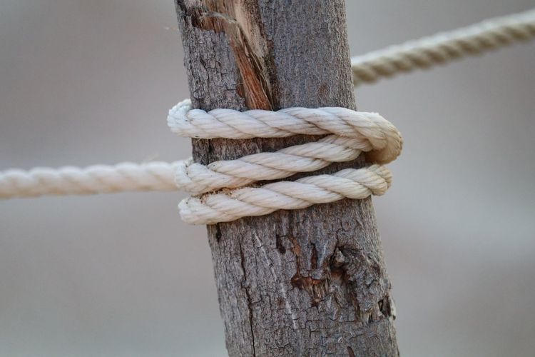 Close-up of rope tied on wooden post