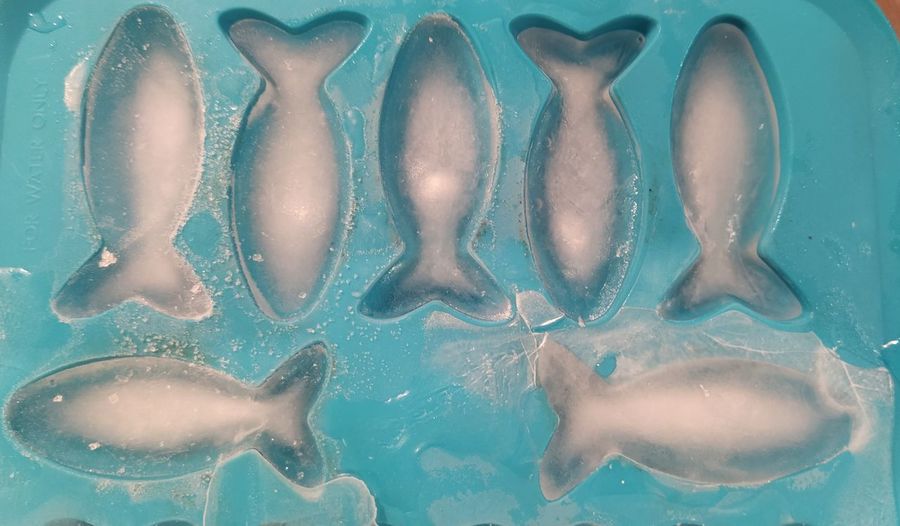 Frozen fishes