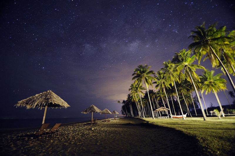 Palm trees on beach against sky at night in kampung penarik terengganu