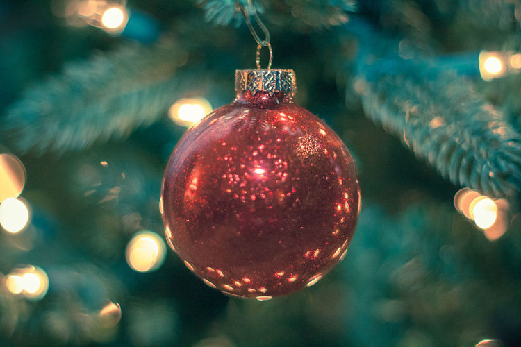 Close-up of ornament hanging on christmas tree