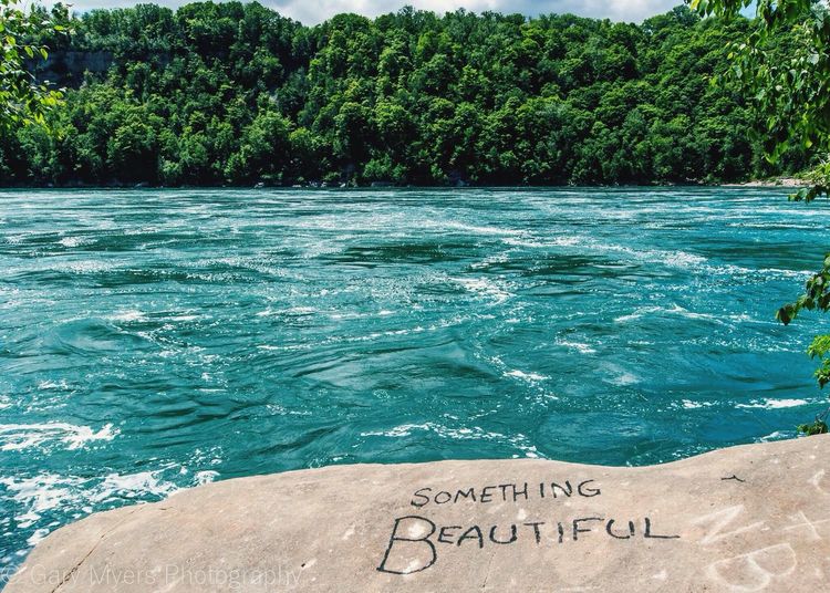 Text on tree by water