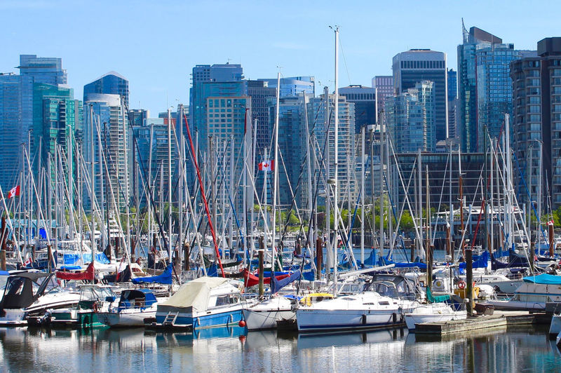Sailboats moored in harbor against buildings in city