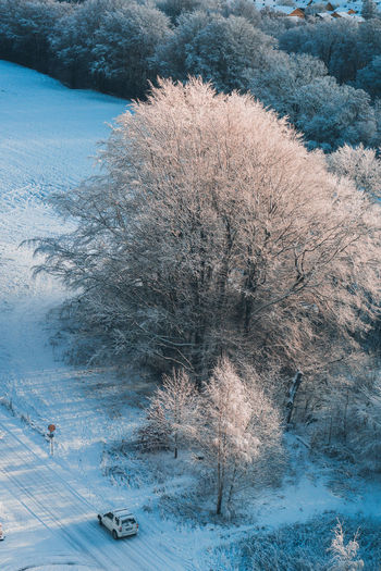 High angle view of snow covered road