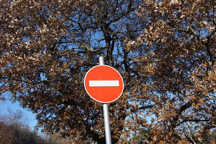Low angle view of road sign against trees