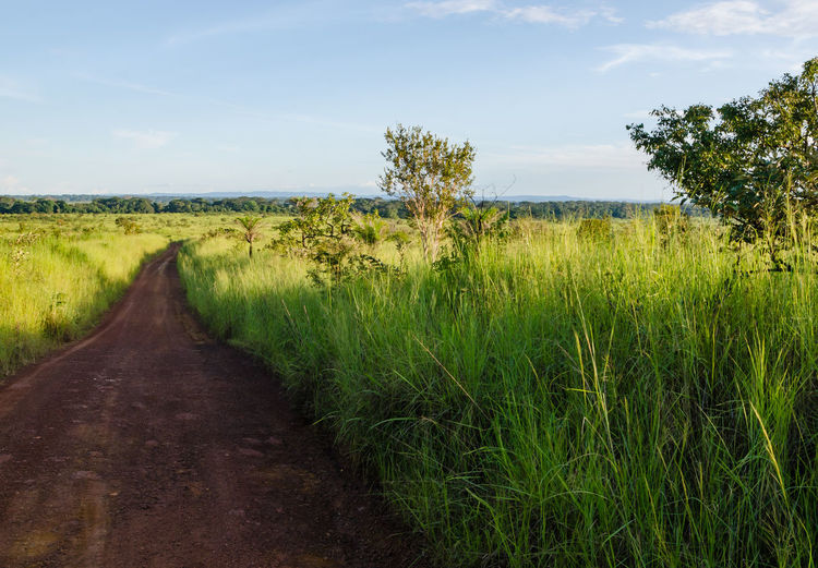 Scenic view of road amidst field against sky