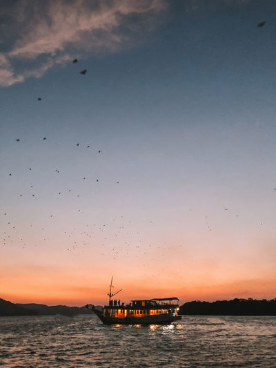 Boat on sea with birds flying against sky during sunset