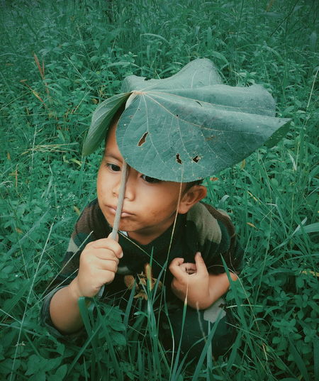 Cute boy holding leaf while crouching amidst plants on land