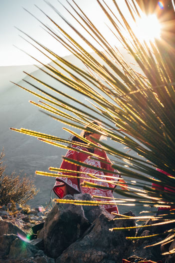 Woman standing on mountain seen through plant during sunset