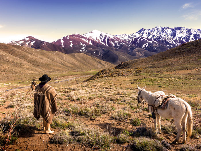 Rear view of man with horse on field against mountains