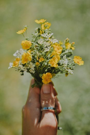 Midsection of person holding yellow flowering plant